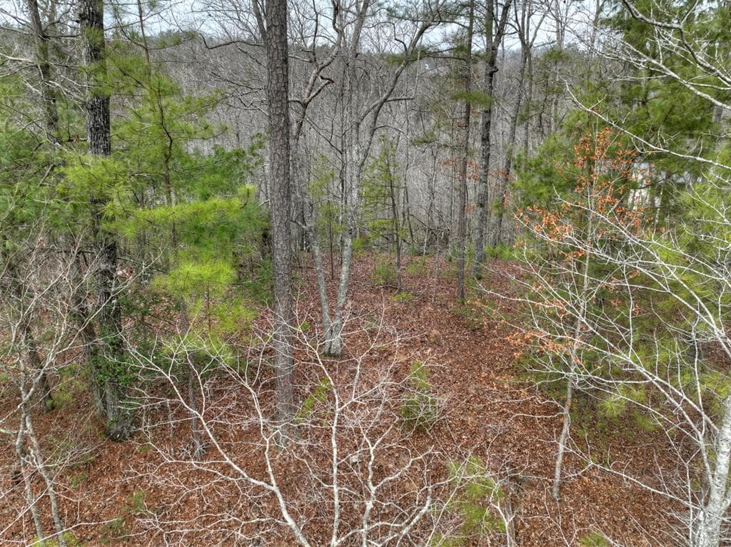 3693 Myna Drive, Ellijay GA 30540 - Photo