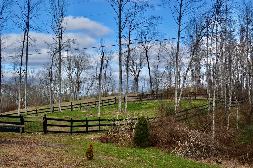 100 Quiet Lane, Blue Ridge AL 35013 - Photo