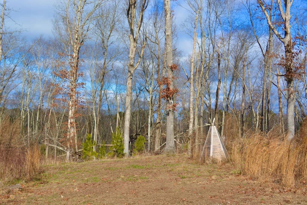 100 Quiet Lane, Blue Ridge AL 35013 - Photo