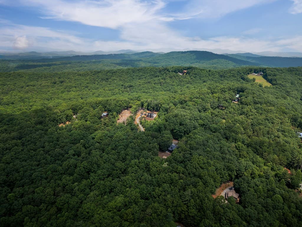 310 Wunder Bear Ridge Road, Morganton GA 30560 - Photo