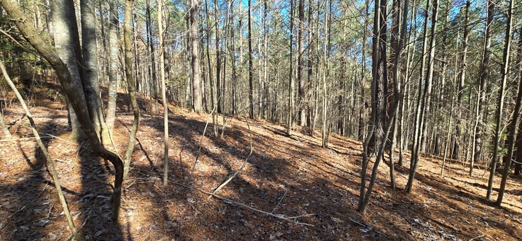Lot 41 Deyton Drive, Blairsville GA 30512 - Photo