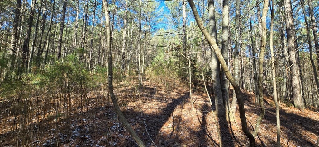 Lot 41 Deyton Drive, Blairsville GA 30512 - Photo