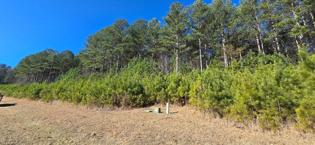 Lot 41 Deyton Drive, Blairsville GA 30512 - Primary photo