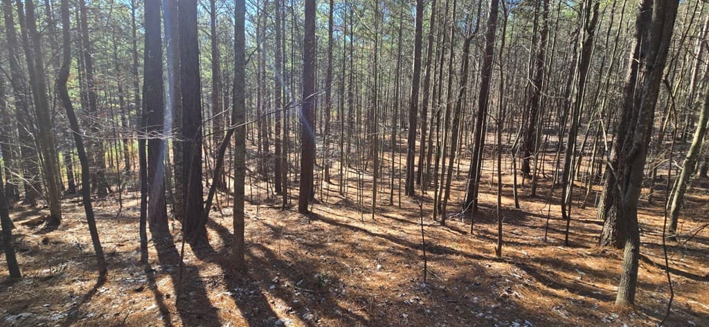 Lot 41 Deyton Drive, Blairsville GA 30512 - Photo