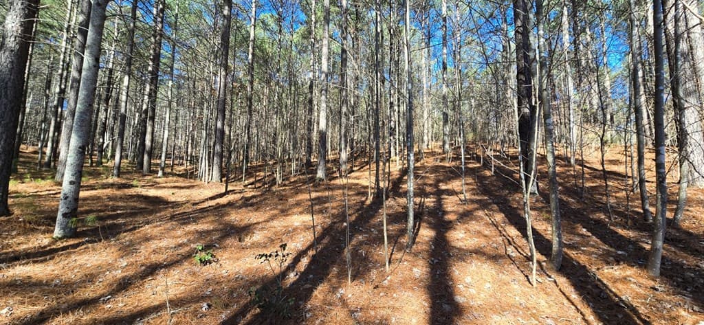 Lot 41 Deyton Drive, Blairsville GA 30512 - Photo