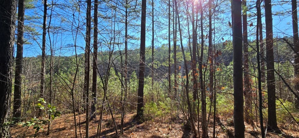 Lot 41 Deyton Drive, Blairsville GA 30512 - Photo