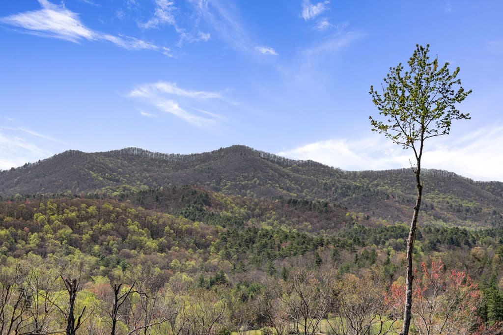 Lot 5 High Ridge Road W, Epworth GA 30541 - Photo
