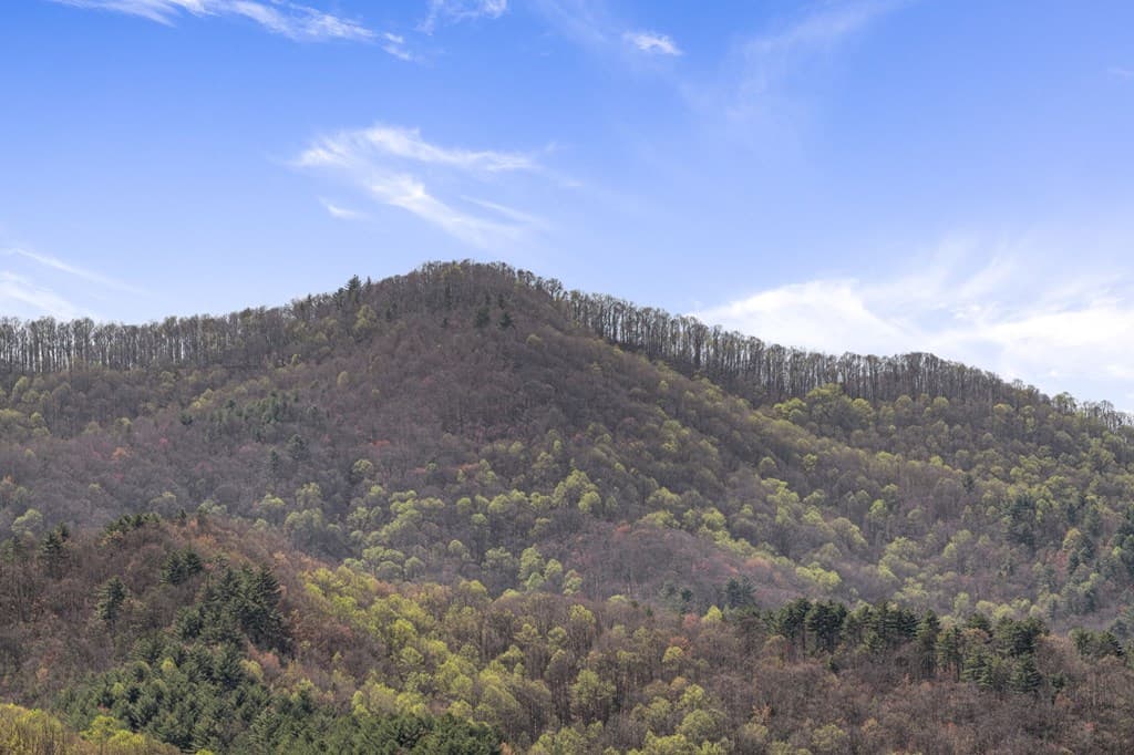 Lot 5 High Ridge Road W, Epworth GA 30541 - Photo