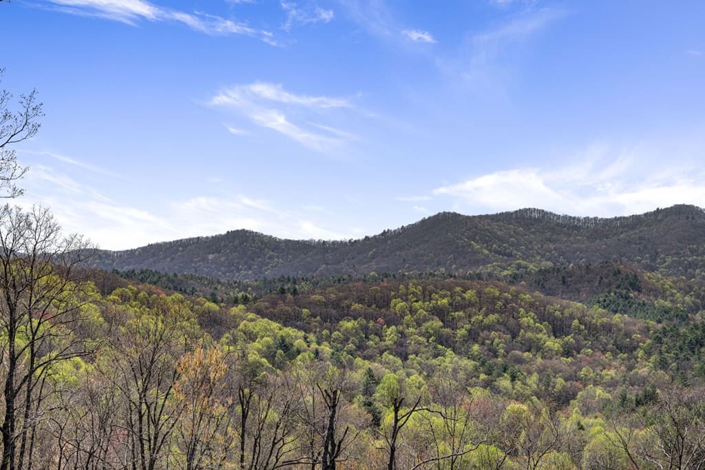 Lot 5 High Ridge Road W, Epworth GA 30541 - Photo