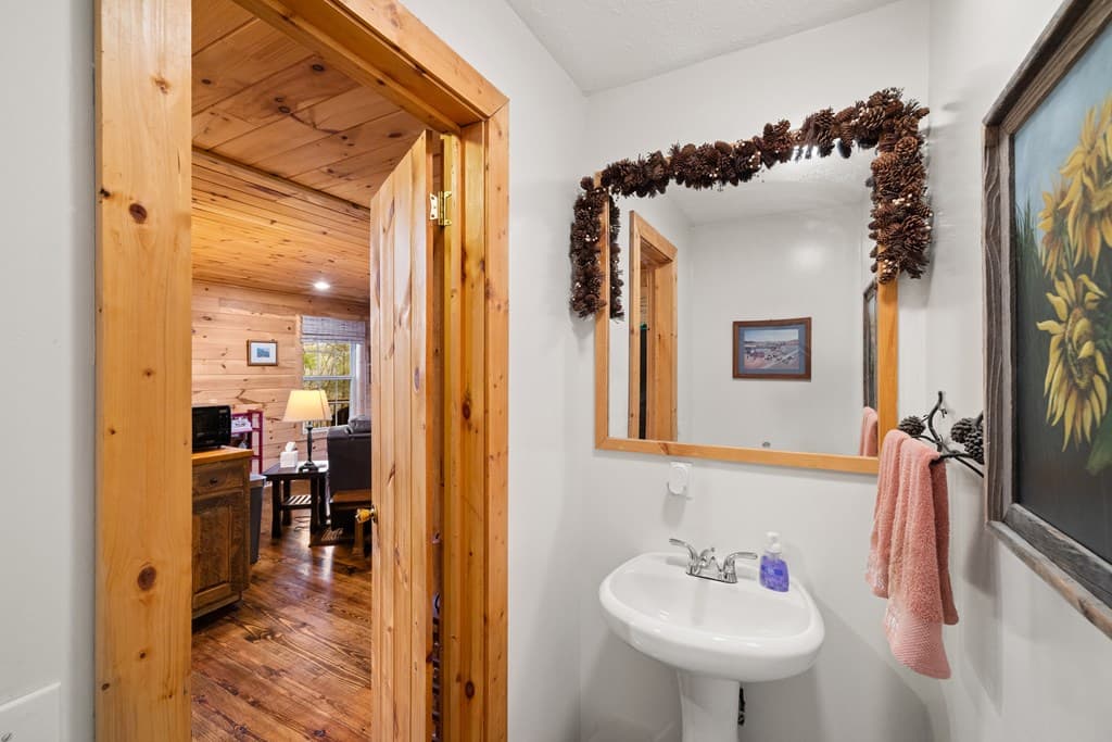 148 Dream Cove Road, Blue Ridge GA 30513 - Photo