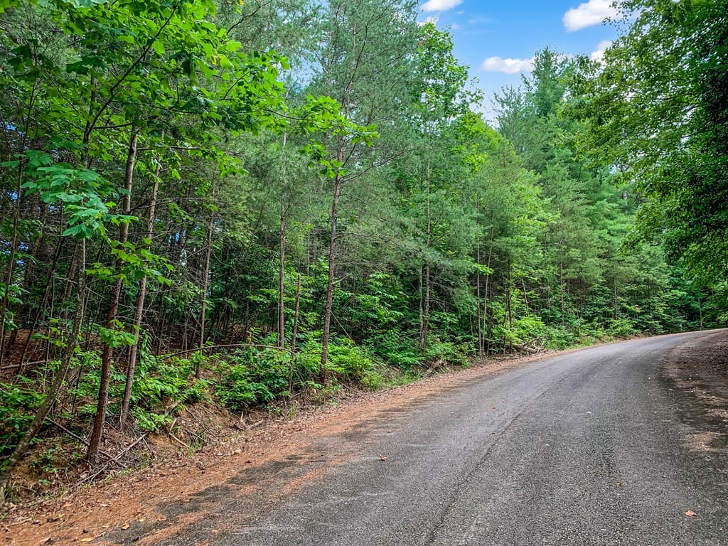 Lot 17 Misty Mountain Trail, Ellijay GA 30536 - Photo