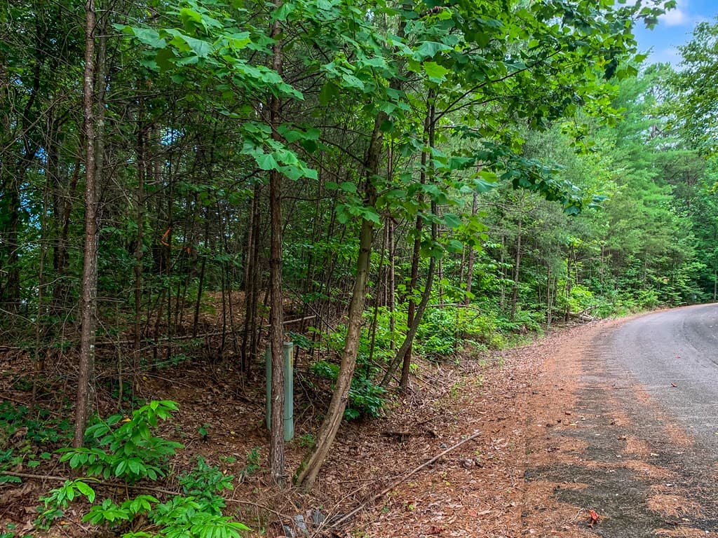 Lot 17 Misty Mountain Trail, Ellijay GA 30536 - Photo