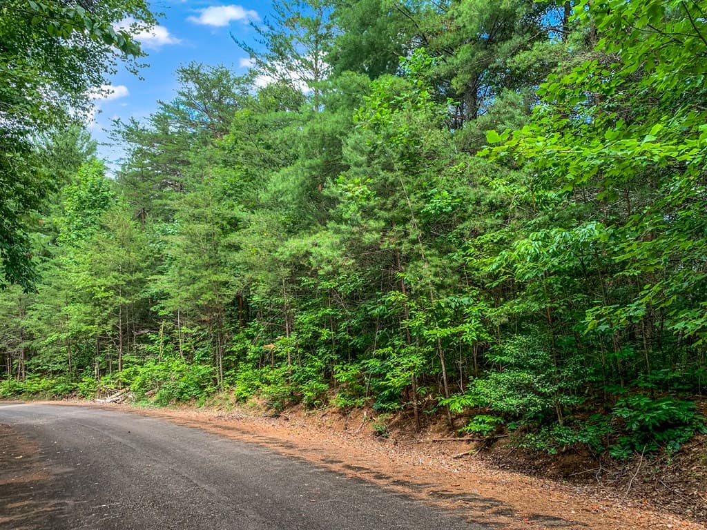 Lot 17 Misty Mountain Trail, Ellijay GA 30536 - Photo