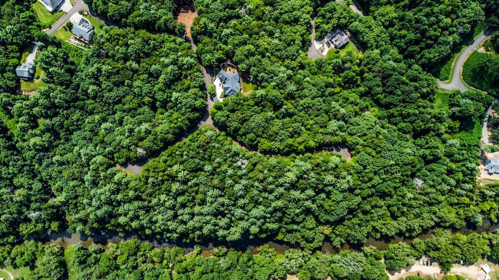 Lot 17 Misty Mountain Trail, Ellijay GA 30536 - Photo