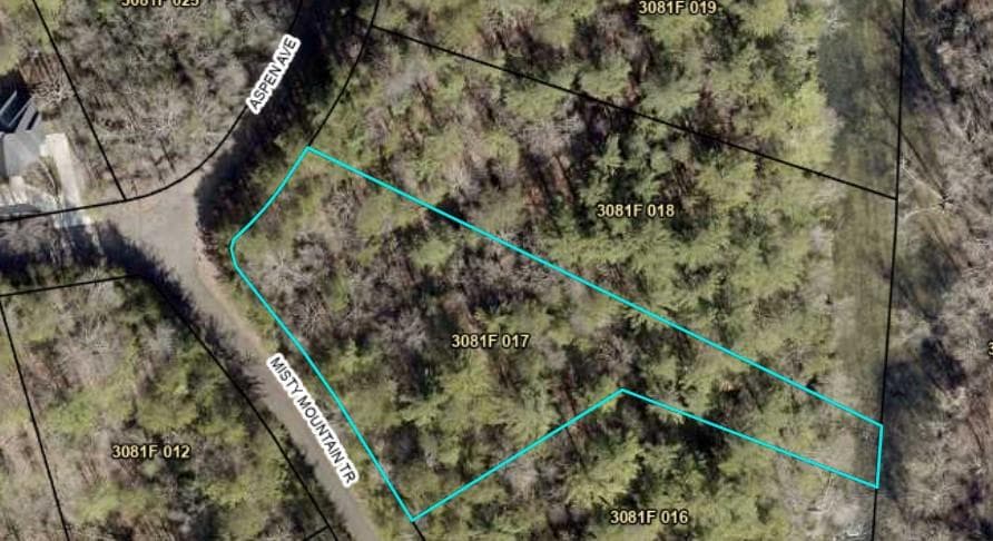 Lot 17 Misty Mountain Trail, Ellijay GA 30536 - Photo