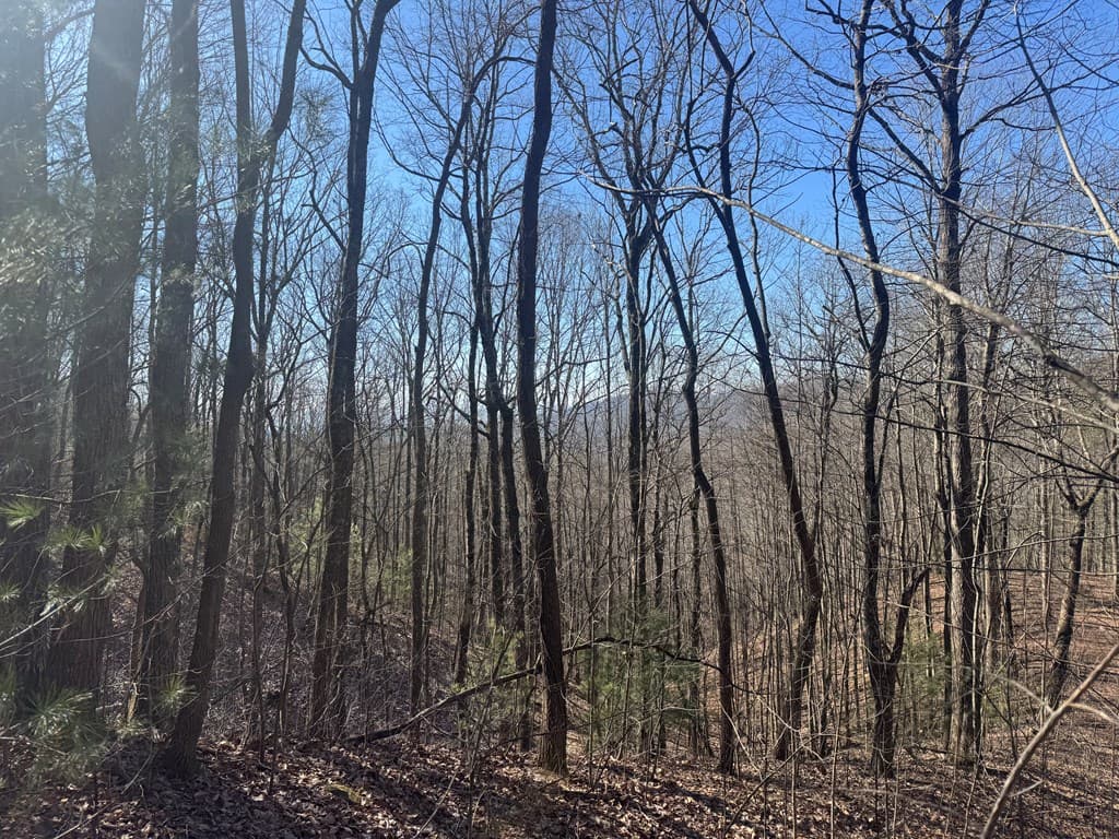 17 Oak Ridge Estates, Murphy NC 28906 - Photo