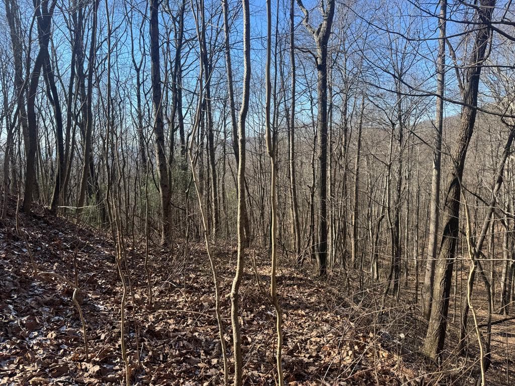 17 Oak Ridge Estates, Murphy NC 28906 - Primary photo