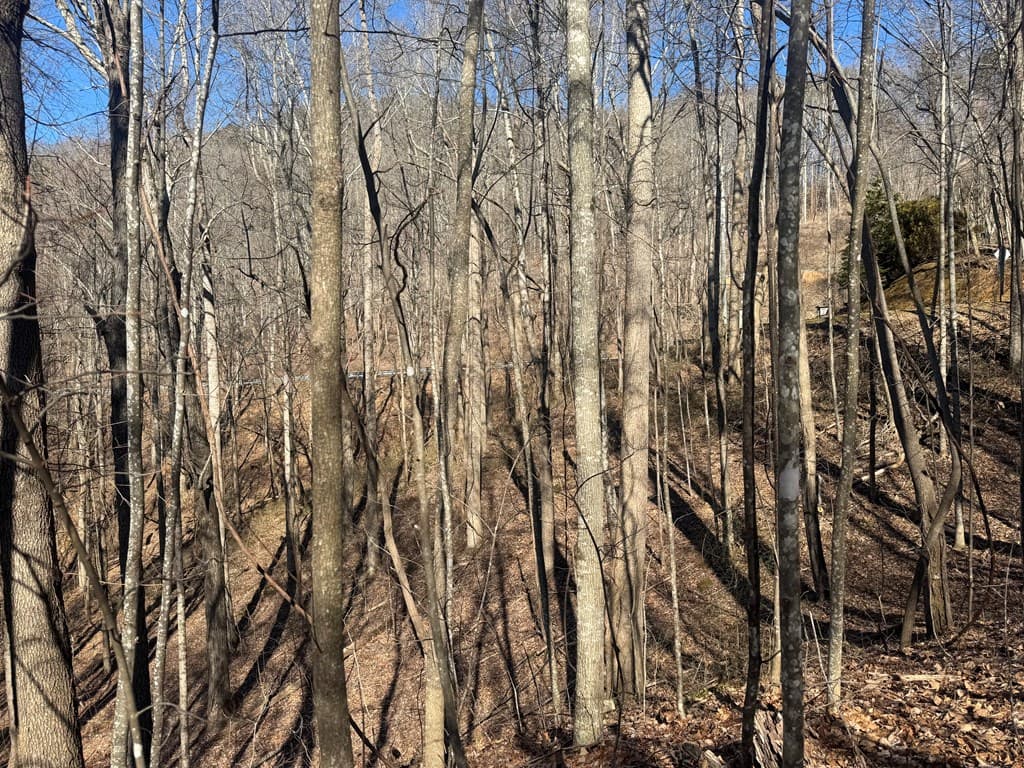 17 Oak Ridge Estates, Murphy NC 28906 - Photo