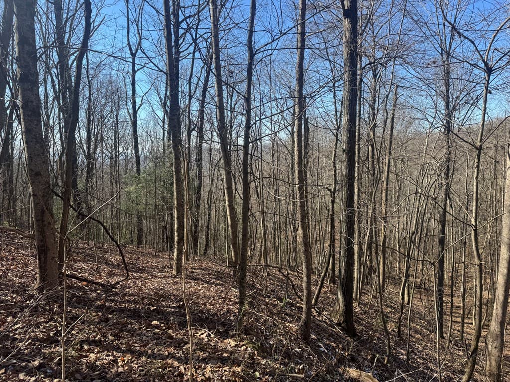 17 Oak Ridge Estates, Murphy NC 28906 - Photo
