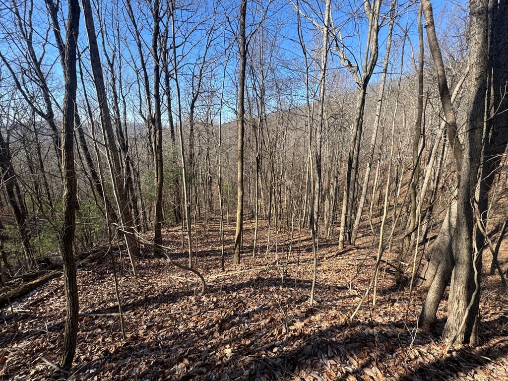 17 Oak Ridge Estates, Murphy NC 28906 - Photo