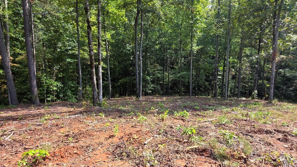 4 Springfield Parkway, Ellijay GA 30540 - Photo