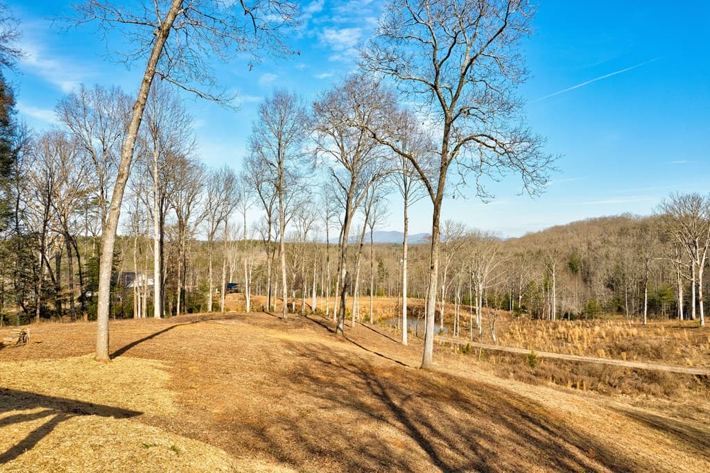 187 Briar Woods Lane, Blue Ridge GA 30513 - Photo