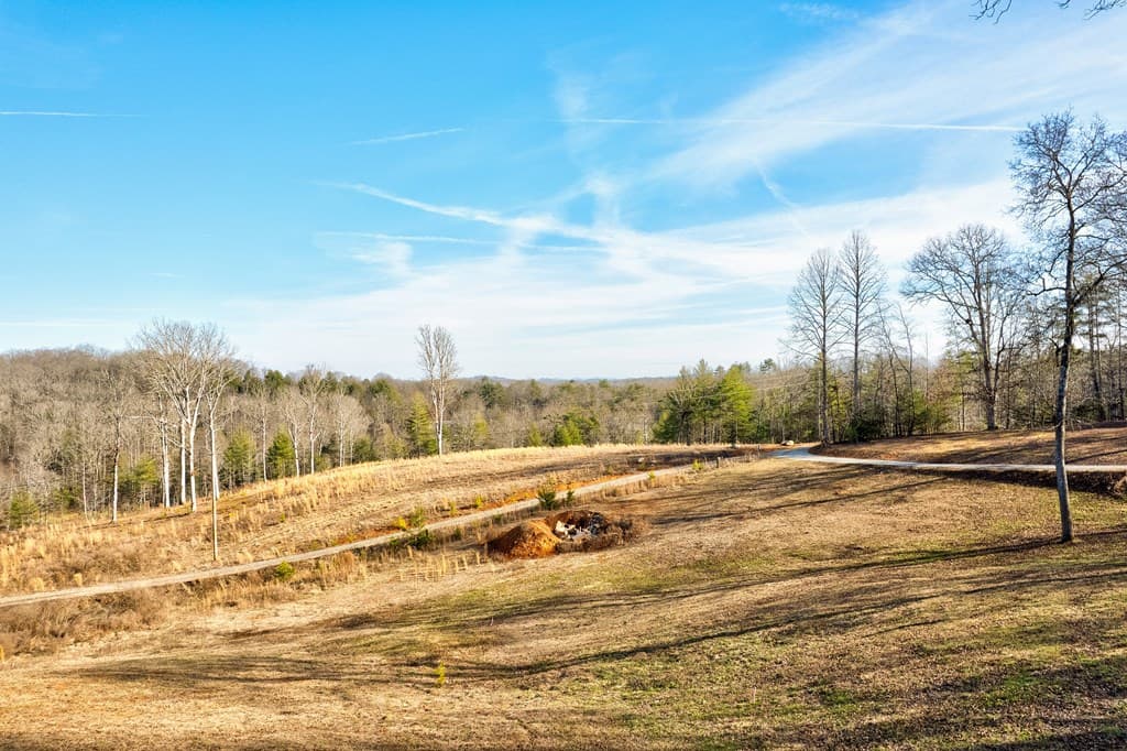 187 Briar Woods Lane, Blue Ridge GA 30513 - Photo