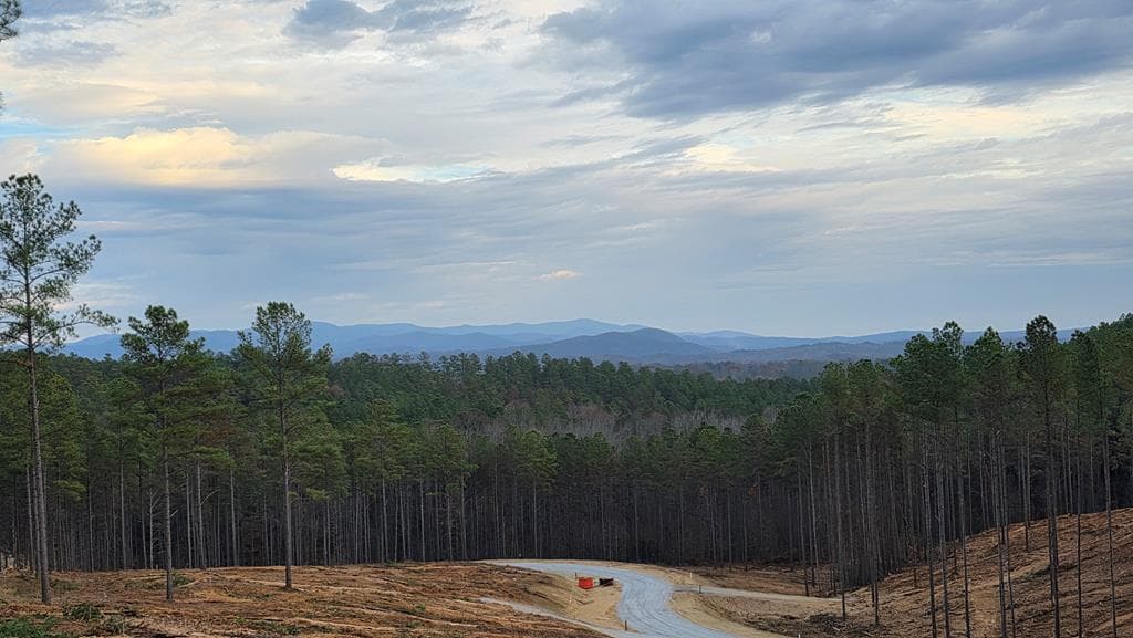 103 Springfield Parkway, Ellijay GA 30540 - Photo