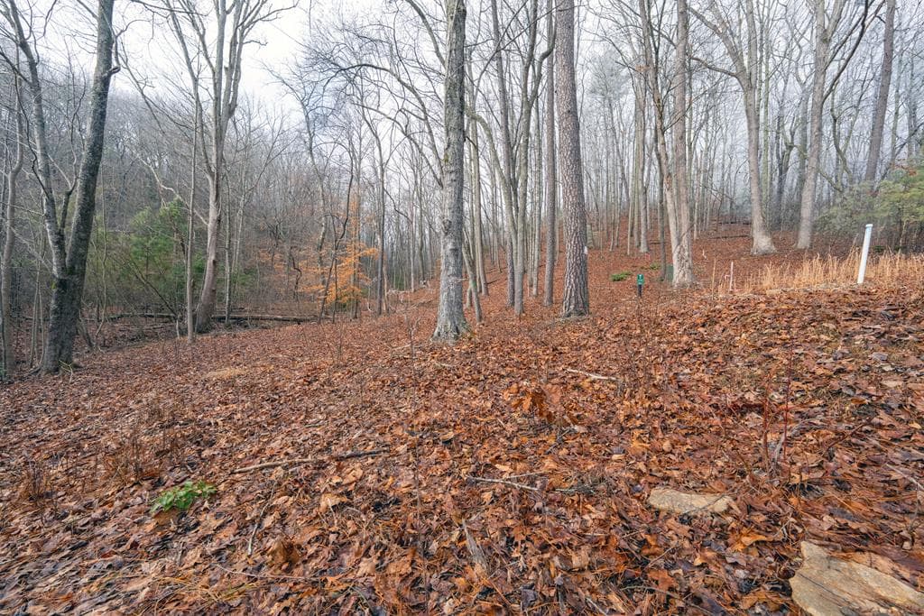 Lot 127 Timber Ridge, Murphy NC 28906 - Photo