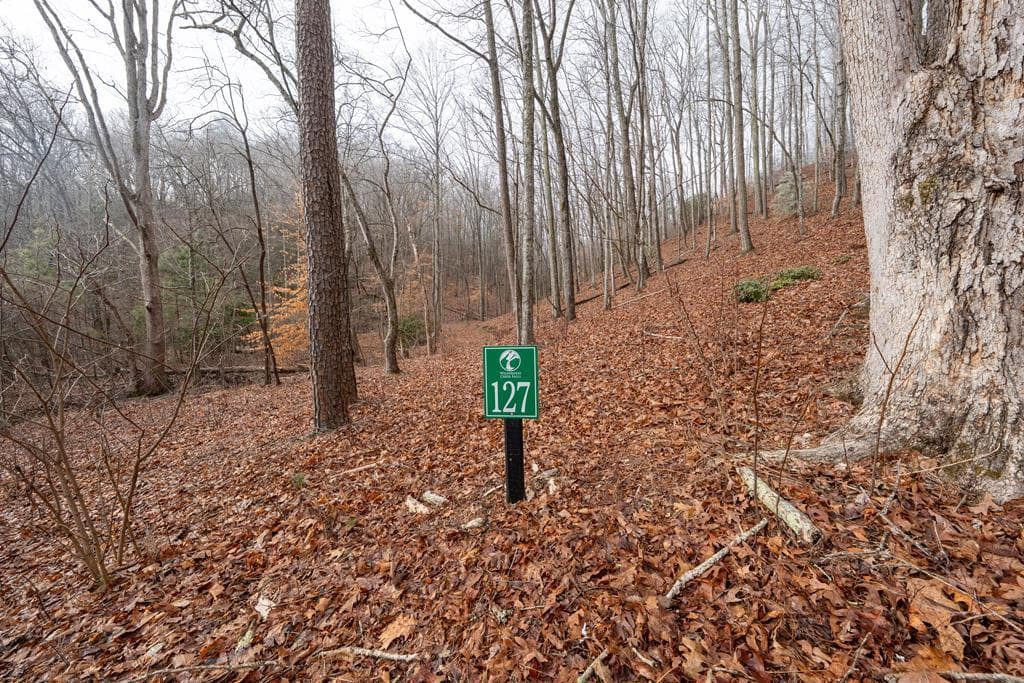 Lot 127 Timber Ridge, Murphy NC 28906 - Primary photo