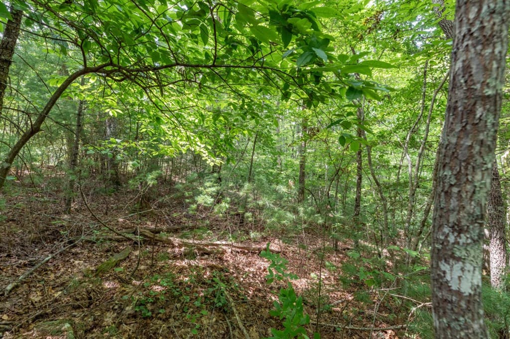 Lot 18 The Ridges Of Carolina, Murphy NC 28906 - Photo