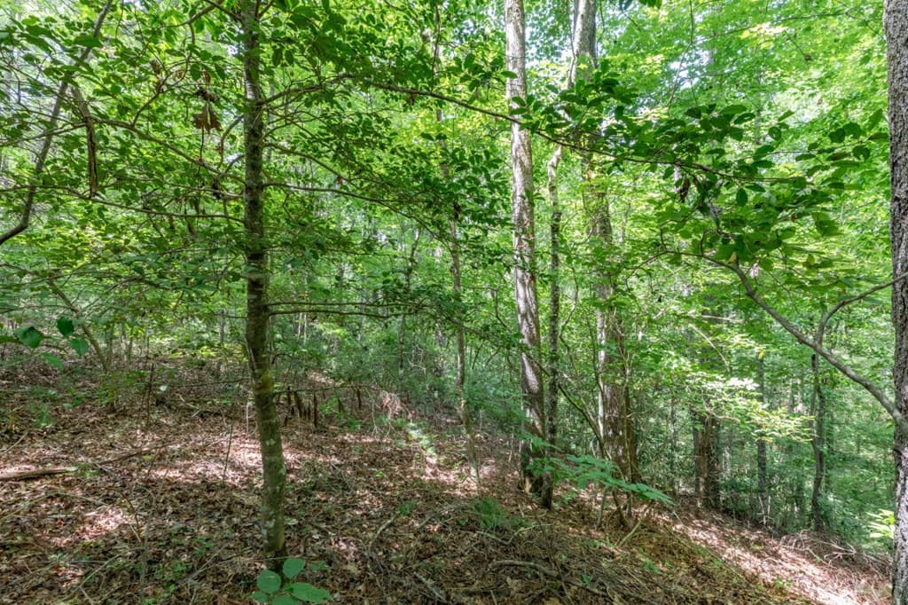 Lot 18 The Ridges Of Carolina, Murphy NC 28906 - Photo