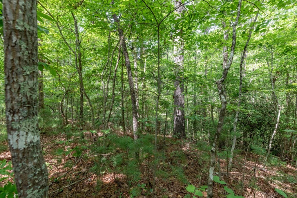 Lot 18 The Ridges Of Carolina, Murphy NC 28906 - Photo