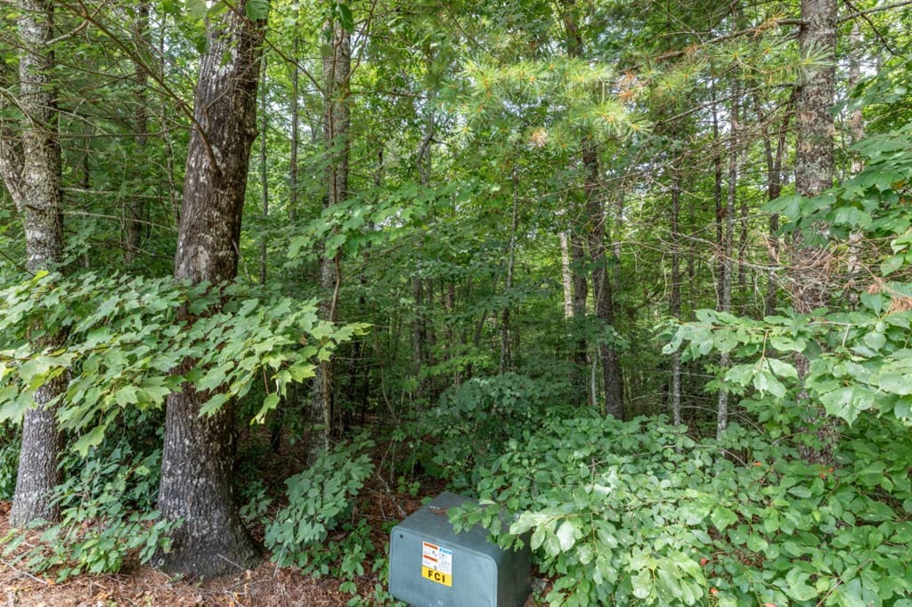 Lot 18 The Ridges Of Carolina, Murphy NC 28906 - Photo