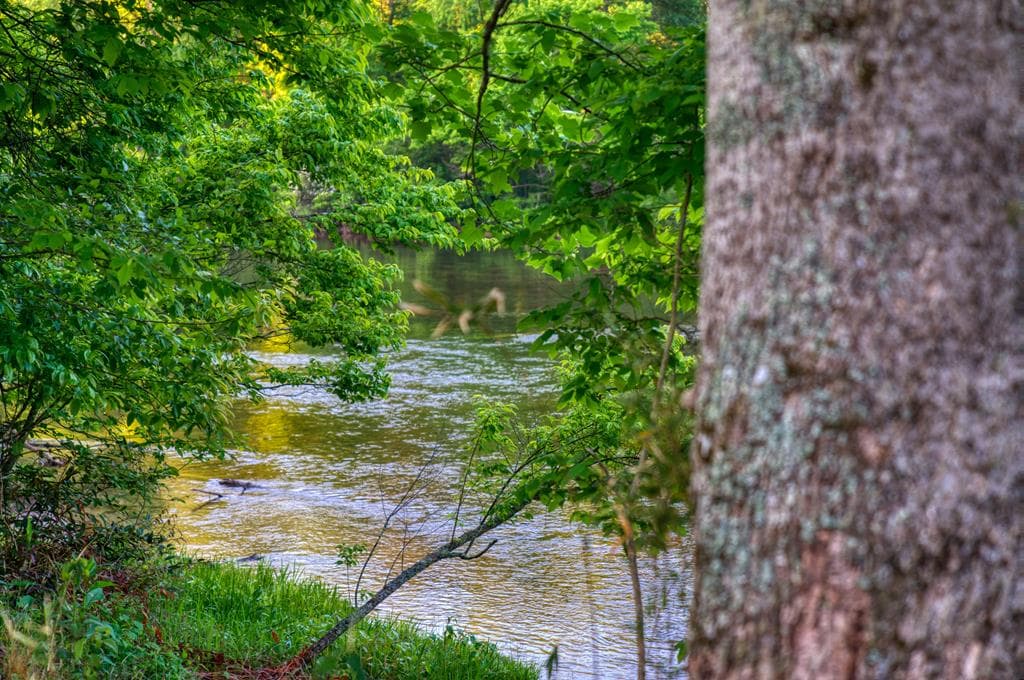 661 Toccoa River Forest, Mineral Bluff GA 30559 - Photo