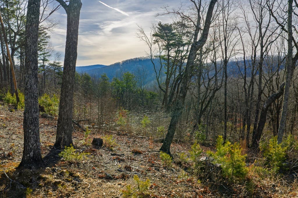 Lot 52 High Summit Drive, Talking Rock GA 30175 - Photo