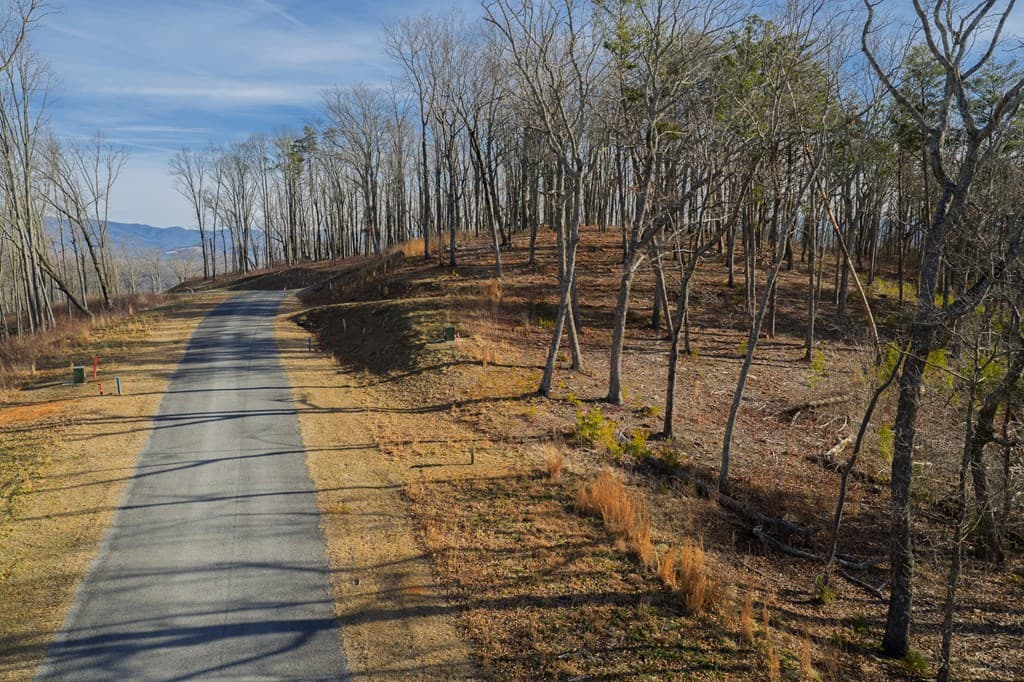 Lot 52 High Summit Drive, Talking Rock GA 30175 - Photo
