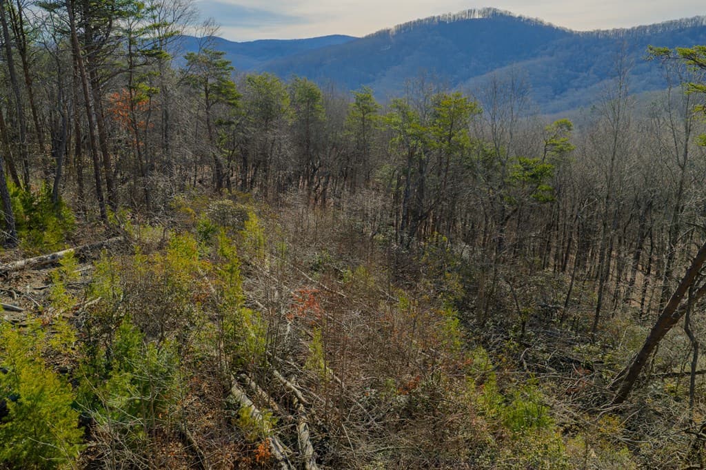 Lot 52 High Summit Drive, Talking Rock GA 30175 - Photo