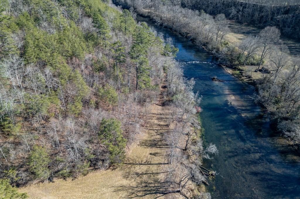 Lot 29 Toccoa River Forest, Mineral Bluff GA 30559 - Photo