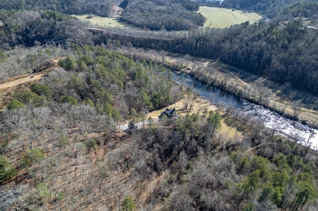 Lot 25+ Toccoa River Forest, Mineral Bluff GA 30559 - Photo