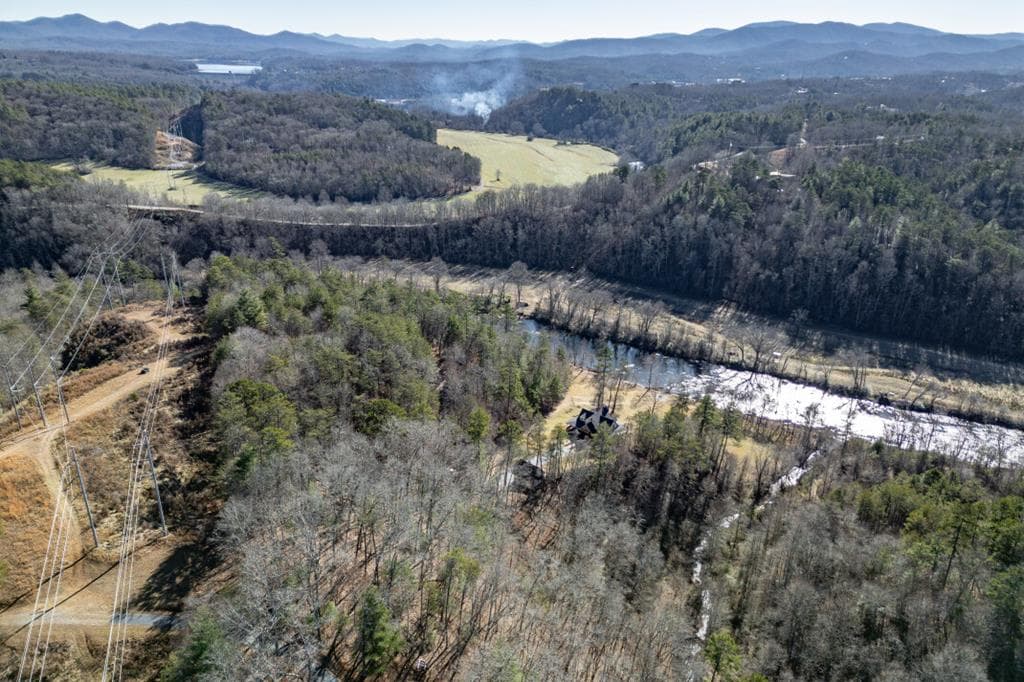 Lot 25+ Toccoa River Forest, Mineral Bluff GA 30559 - Photo