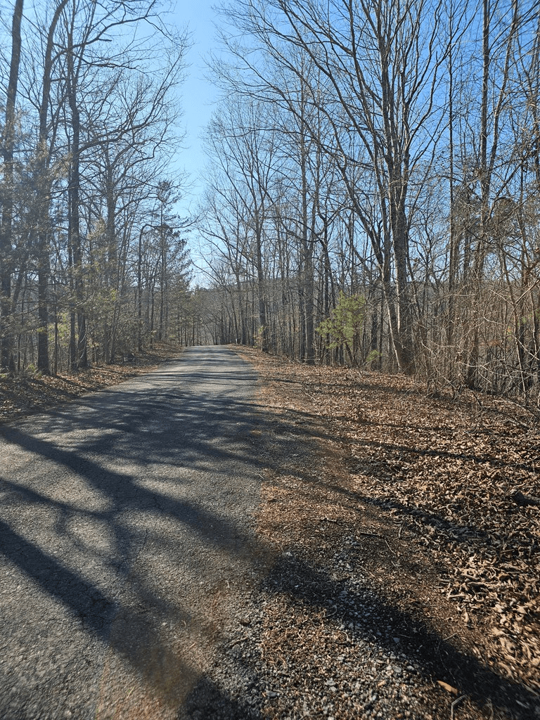 1.16 Marie Drive, Talking Rock GA 30175 - Photo