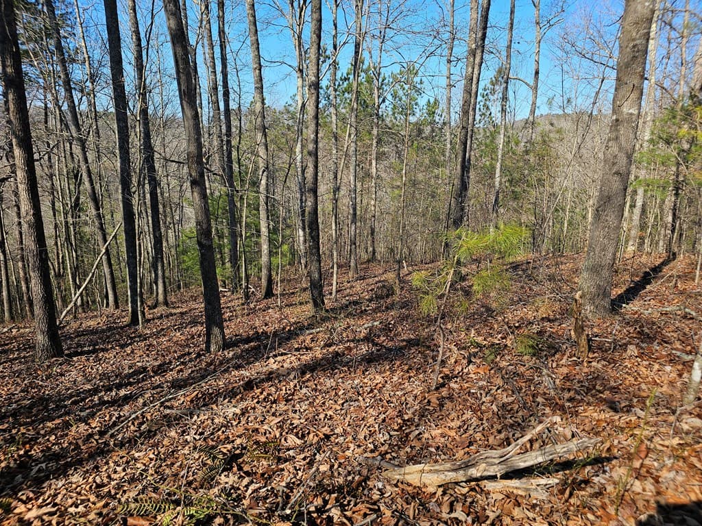 1.16 Marie Drive, Talking Rock GA 30175 - Photo