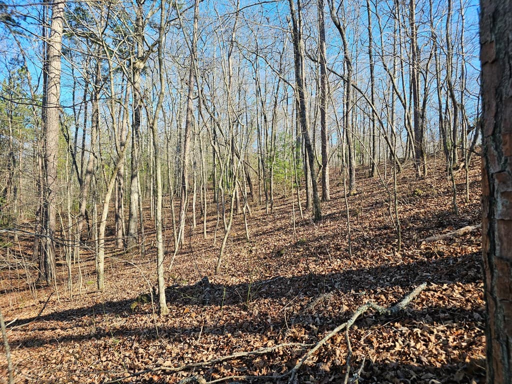 1.16 Marie Drive, Talking Rock GA 30175 - Photo