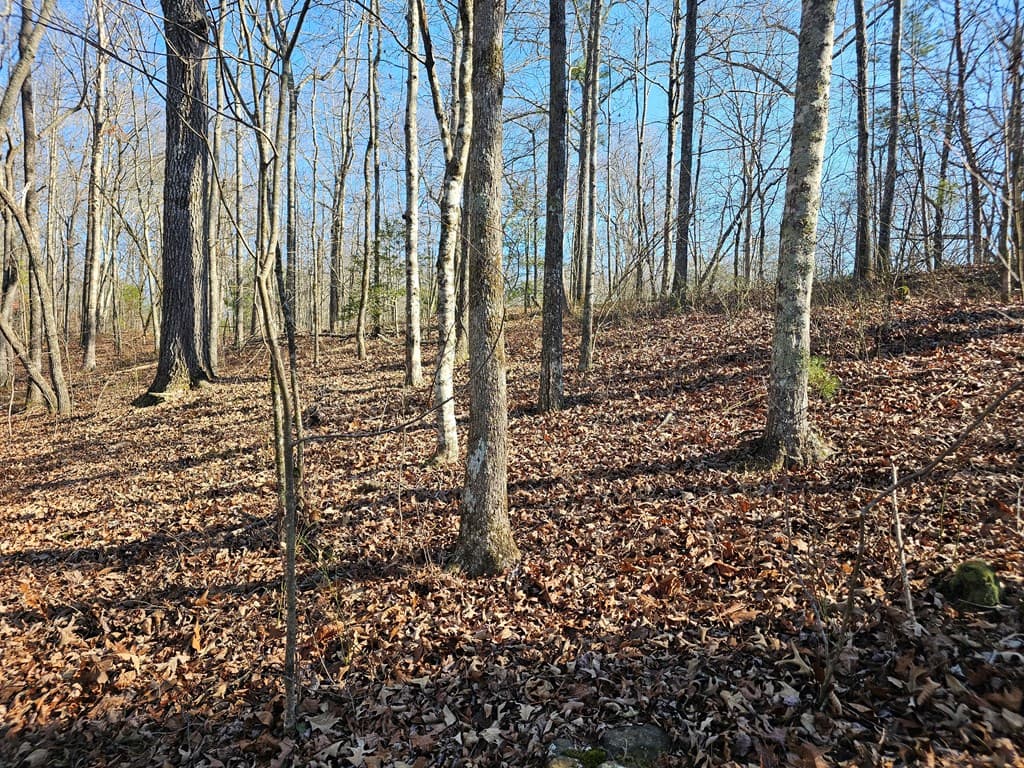 1.16 Marie Drive, Talking Rock GA 30175 - Photo
