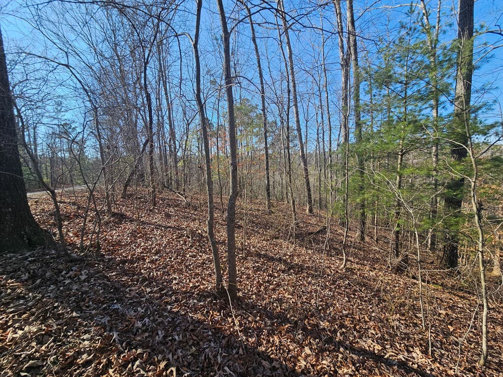 1.16 Marie Drive, Talking Rock GA 30175 - Photo