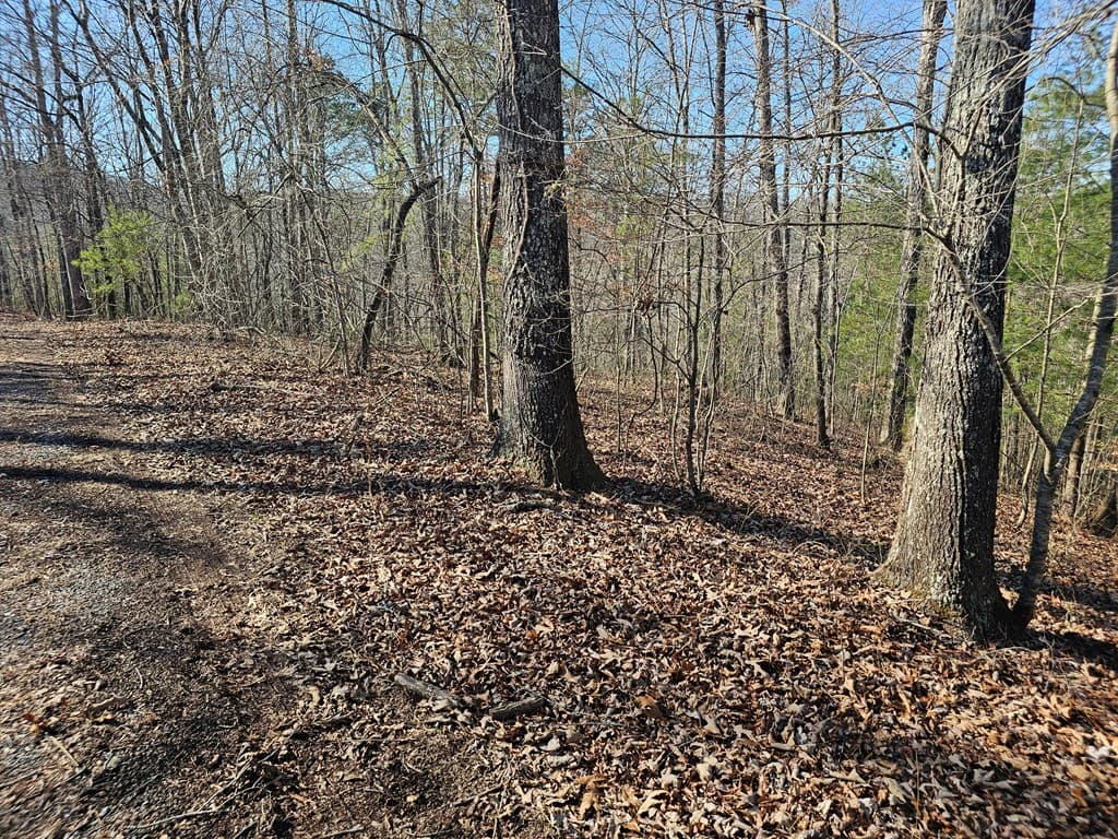 1.16 Marie Drive, Talking Rock GA 30175 - Photo