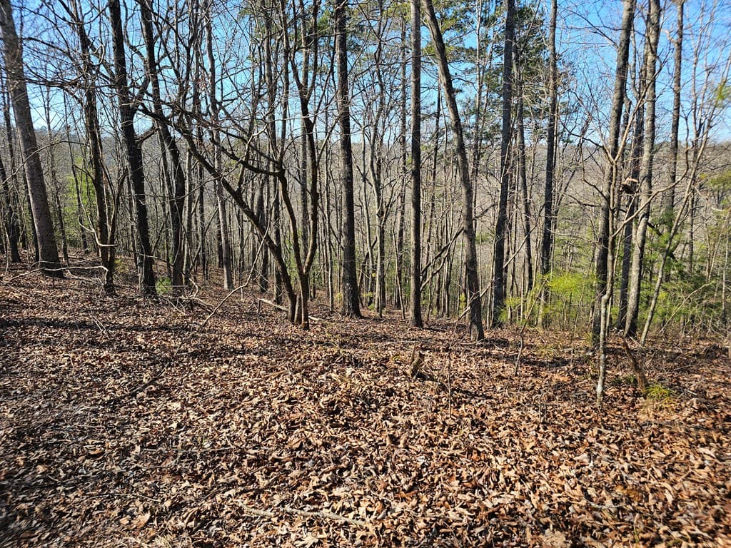 1.16 Marie Drive, Talking Rock GA 30175 - Photo