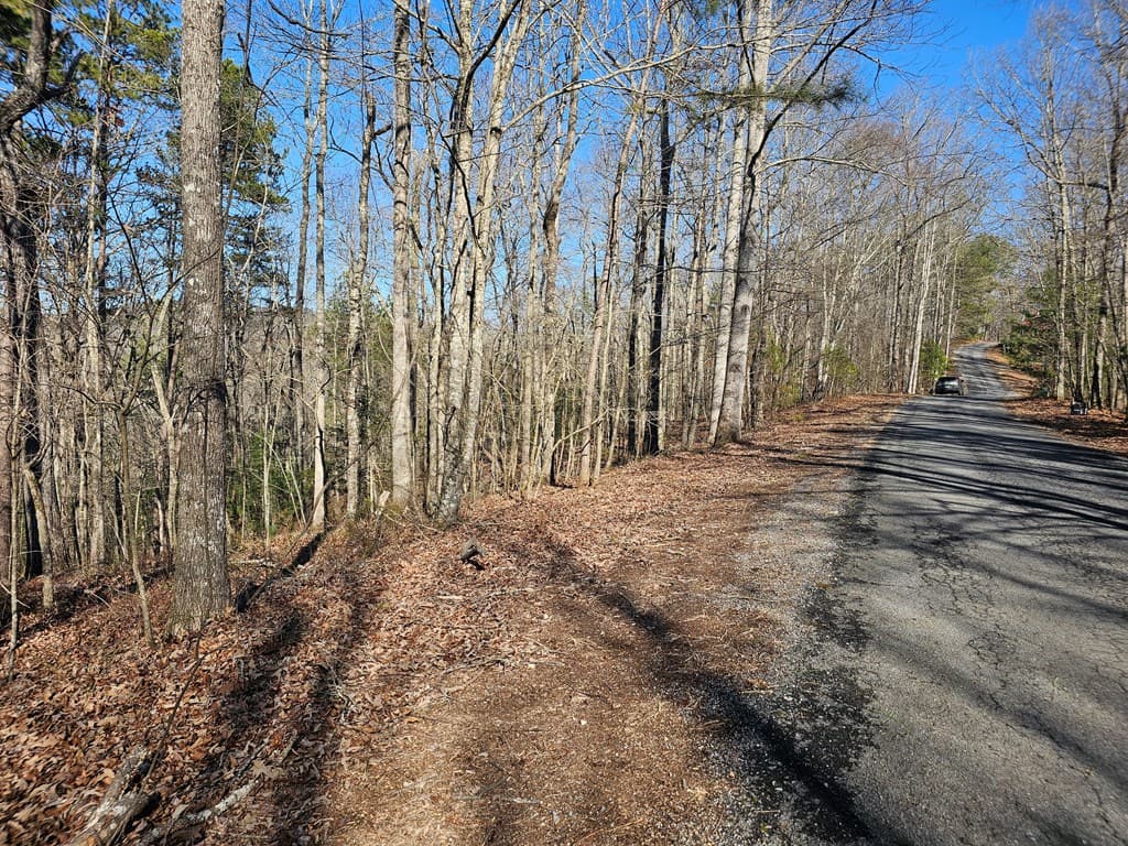1.16 Marie Drive, Talking Rock GA 30175 - Photo