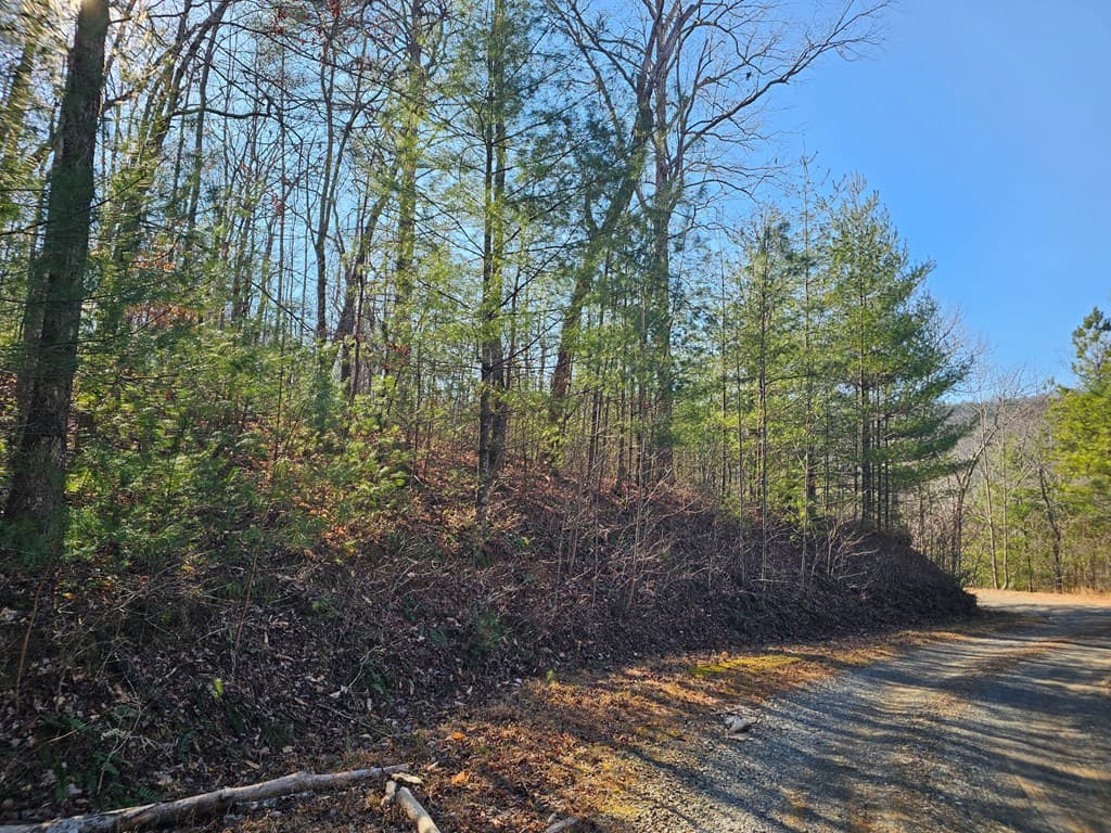 1.16 Marie Drive, Talking Rock GA 30175 - Photo